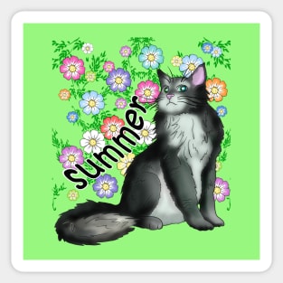 A black and white cat for Summer Sticker